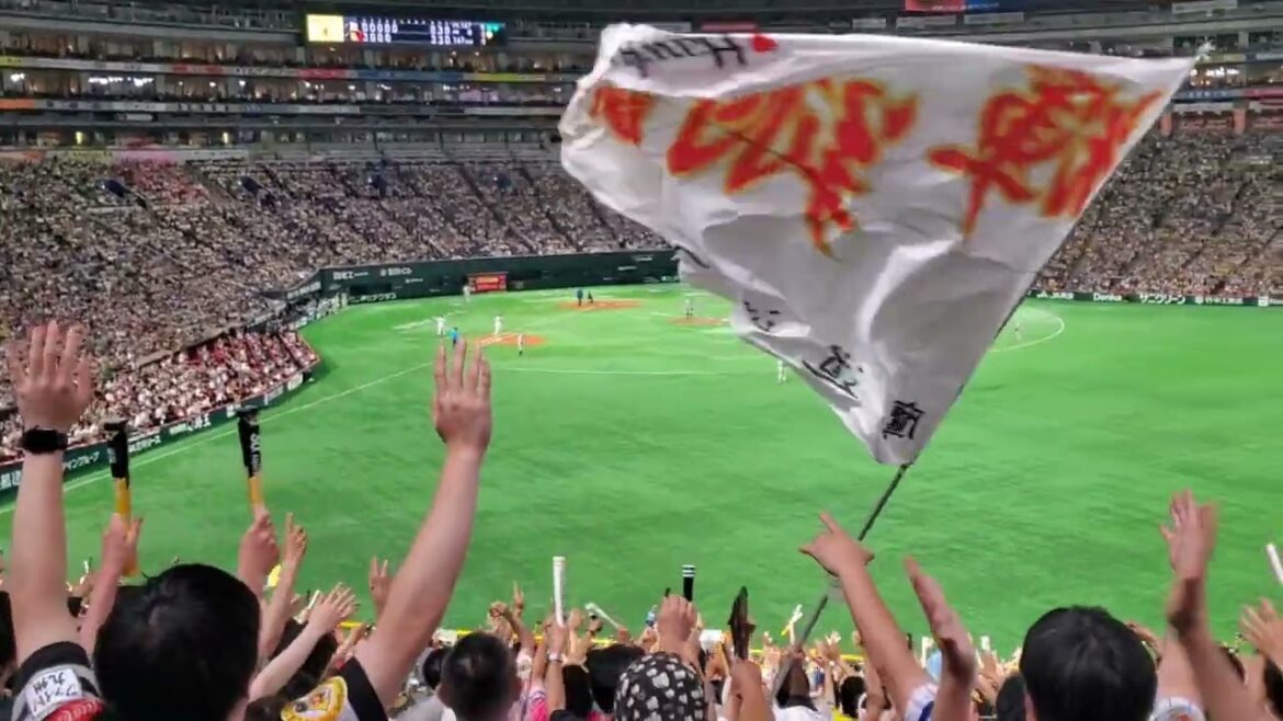 20240615【現地】応援5秒前〜4、3、2、1、【笹川吉康 (野手汎用応援歌)】→プロ初HR　福岡ソフトバンクホークス汎用ﾃｰﾏ@みずほPayPayﾄﾞｰﾑ福岡･外野ﾗｲﾄ 日本生命ｾ･ﾊﾟ交流戦