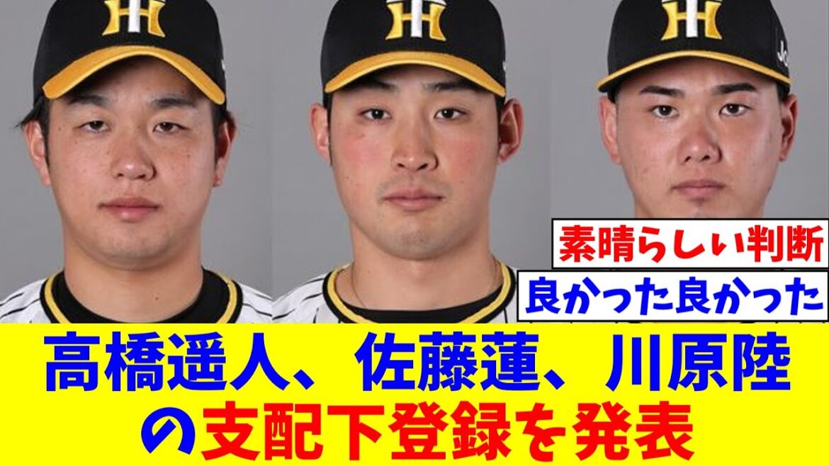 阪神が高橋遥人、佐藤蓮、川原陸の支配下登録を発表【なんJ反応】【プロ野球反応集】【2chスレ】【5chスレ】
