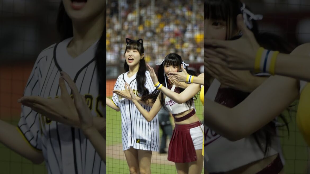 240721 野生邊荷律跳王柏融應援，韓國人穿著日本球衣跳著台式應援，這真的太夢幻了，感謝宏將多利安賜我們香香的女神 #吐司邊 #邊婽鷸