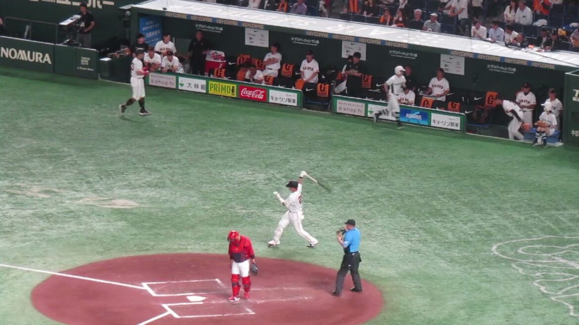 岡本和真の後 大城卓三ヒットで喜ぶベンチ 2024年6月28日 読売ジャイアンツ 対 広島東洋カープ