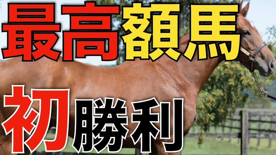 感動の初勝利！最高額出資馬の勝利から学んだこと。