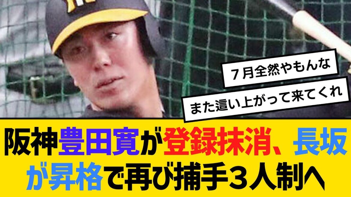 阪神・豊田寛が登録抹消、長坂が昇格で再び捕手３人制へ　【ネットの反応】【反応集】