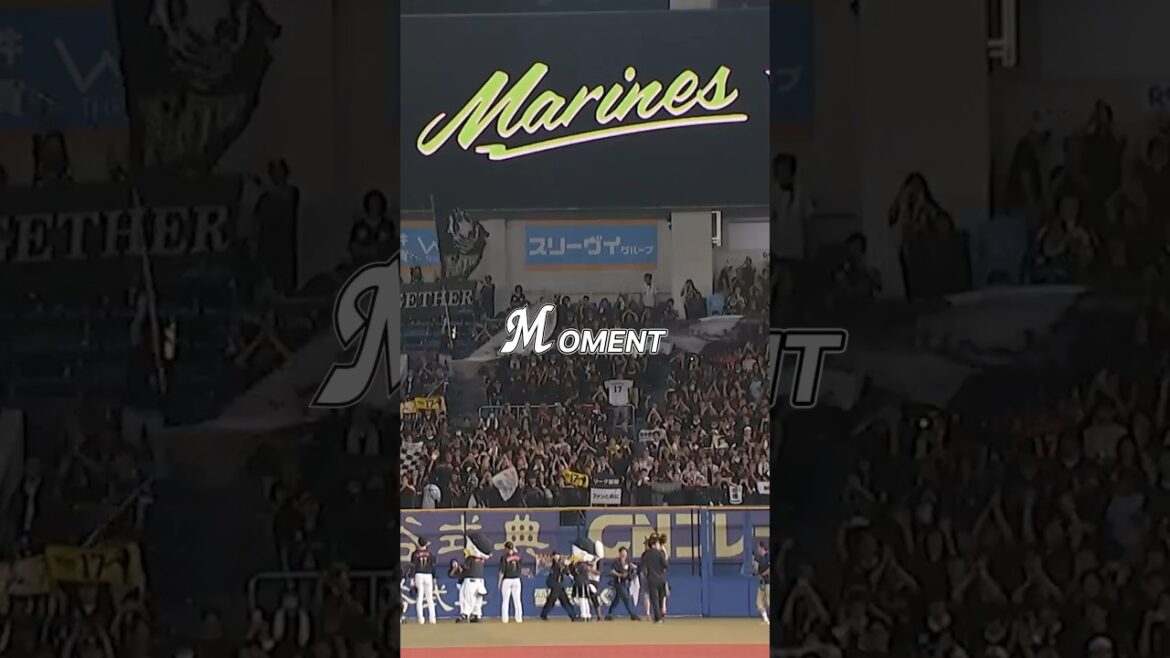 SWEEP｜7.30-8.1 Marines Moment #chibalotte #BSW