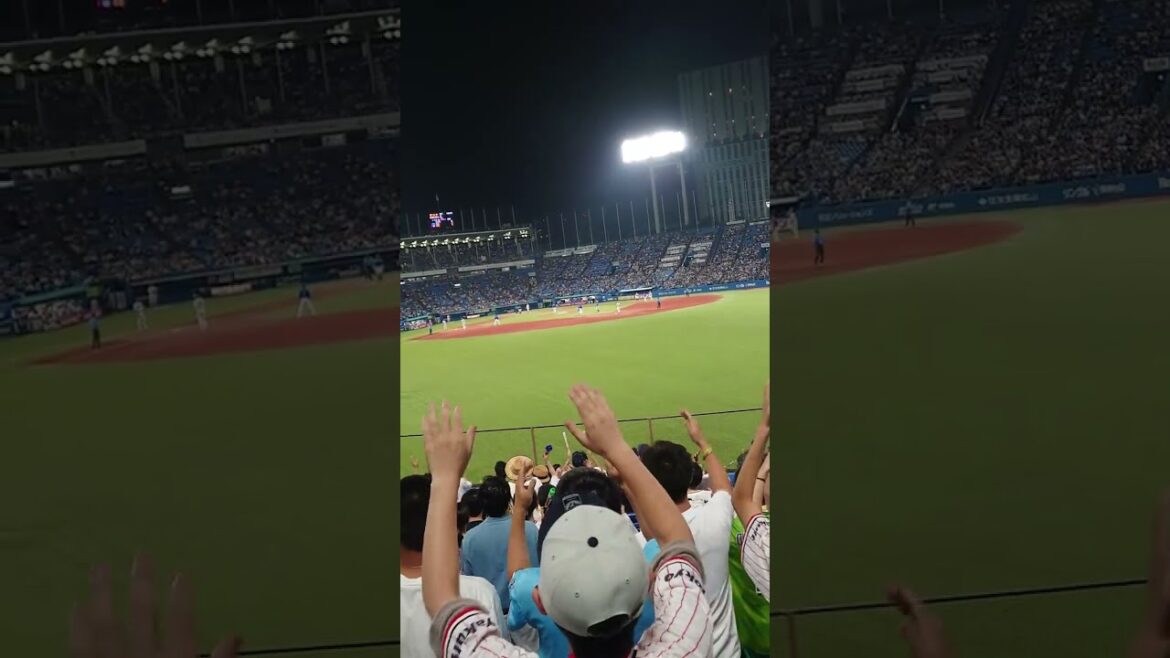 7.21 オスナ選手 11回裏サヨナラタイムリー! ロングバージョン #ヤクルトスワローズ #denaベイスターズ #ケバブ魂 7.21 オスナ選手 11回裏サヨナラタイムリー! ロングバージョン #ヤクルトスワローズ #denaベイスターズ #ケバブ魂