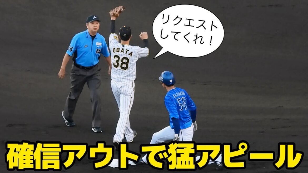 【確信アウトで猛アピール】二塁牽制でセーフ判定もベンチに向かって猛烈にリクエスト要求のアピールをする小幡竜平 2024.7.6
