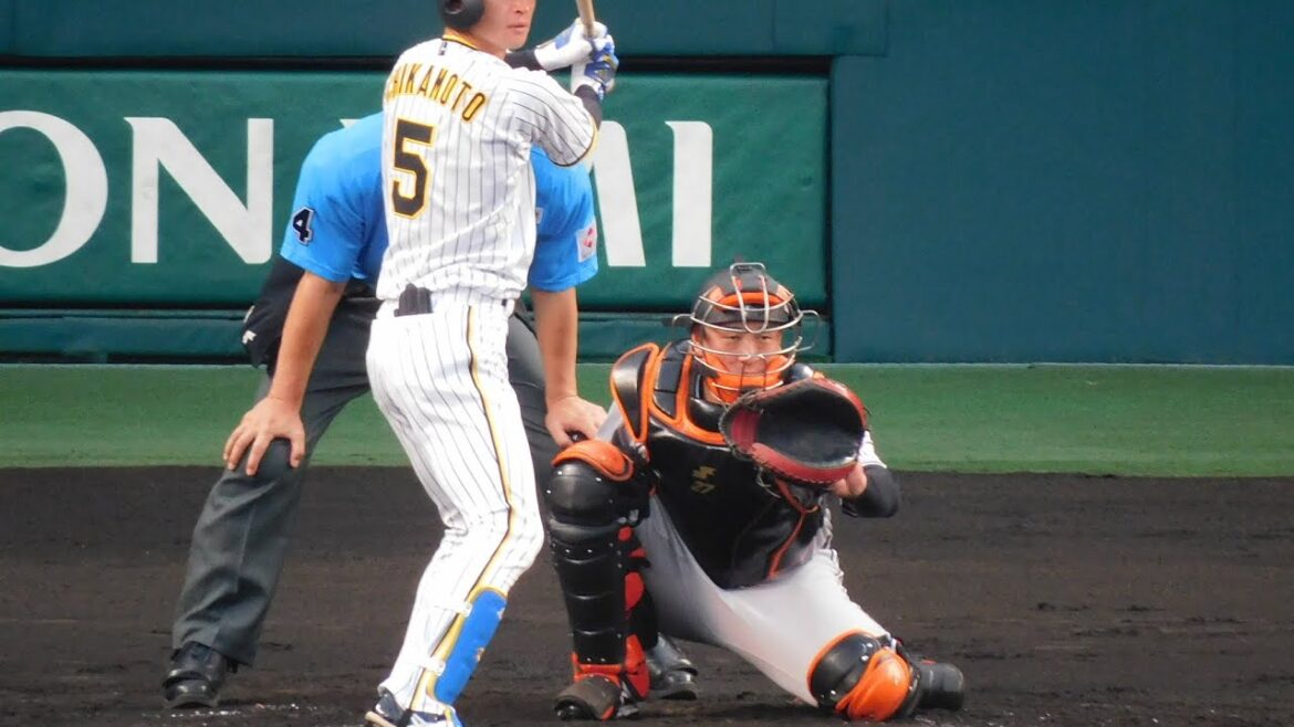 【淡々と仕事】近本光司 本日無安打もしっかり2四球を選び出塁 1番の仕事を淡々とこなす