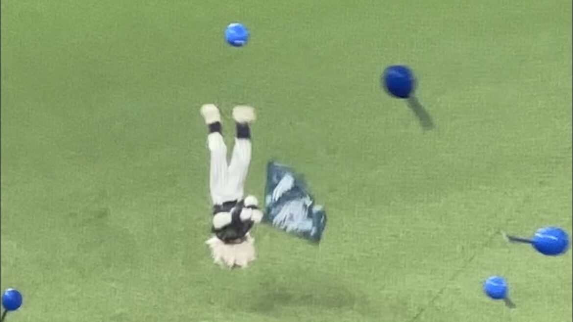 ハントブルーユニフォームで初の『吠えろライオンズ』 レオは旗を振りながらバック宙！【西武vs楽天】2024/8/2 ライオンズフェスティバルズ初日