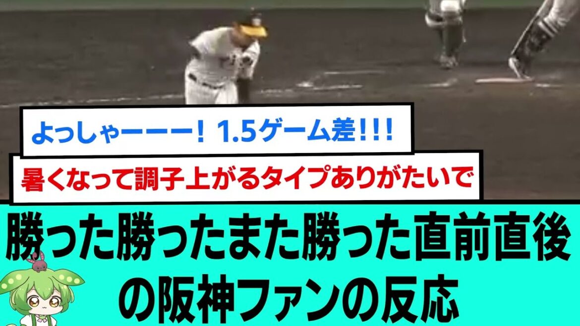 勝った勝ったまた勝ったww締め直前直後の阪神ファンの反応【阪神タイガース/プロ野球/なんJ2ch5chスレまとめ/セリーグ/及川雅貴/野口恭佑/森下翔太/桐敷拓馬/石井大智/2024年7月31日】