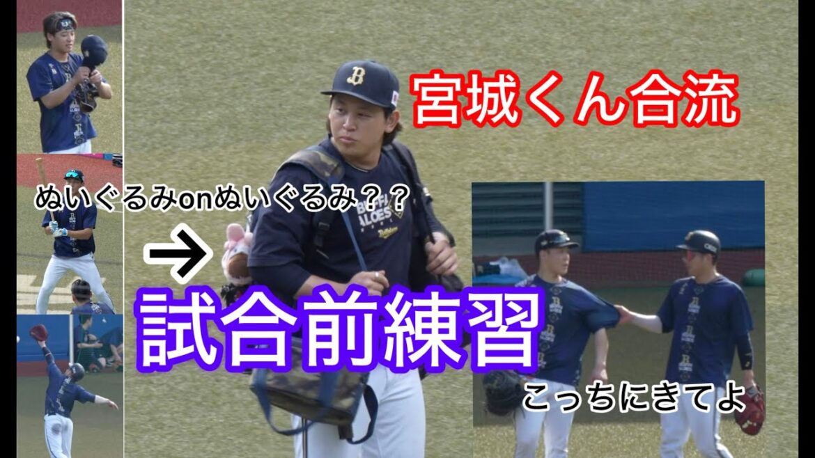 宮城くんがぬいぐるみにマイメロ試合前練習