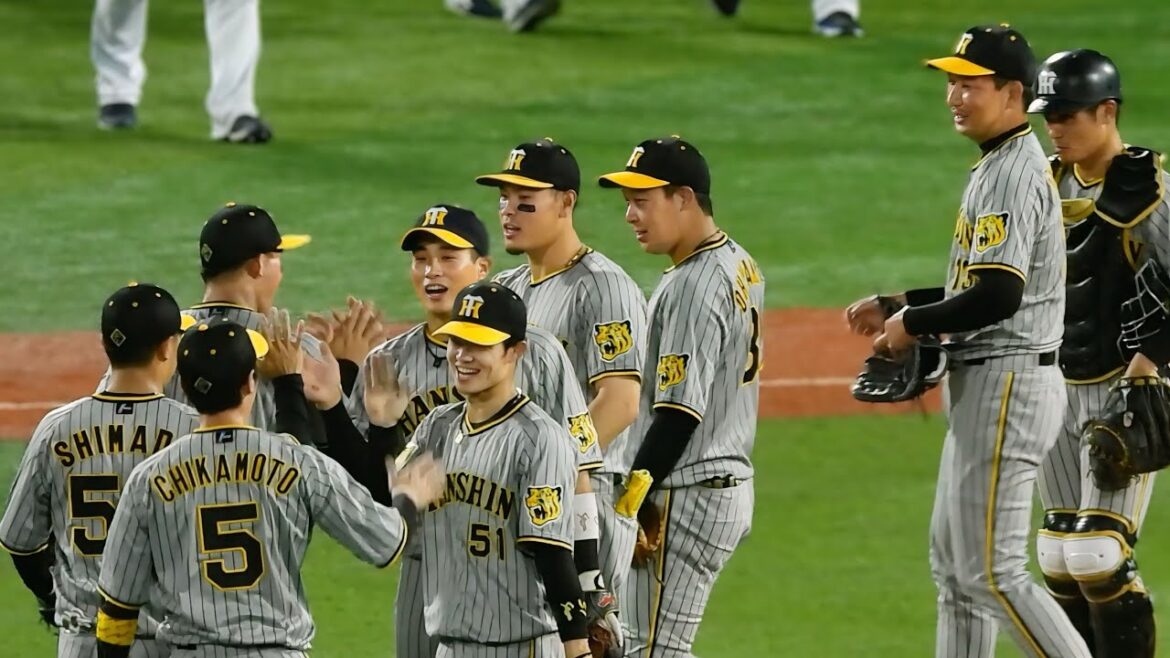 【勝利のハイタッチ】最後は岩崎が締めた！阪神タイガース、鮮やか逆転勝利で破竹の8連勝！ 2024.8.2