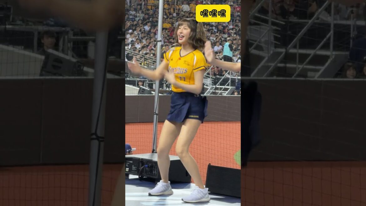 【2024年明星賽第一天】王柏融應援曲【峮峮】－240720