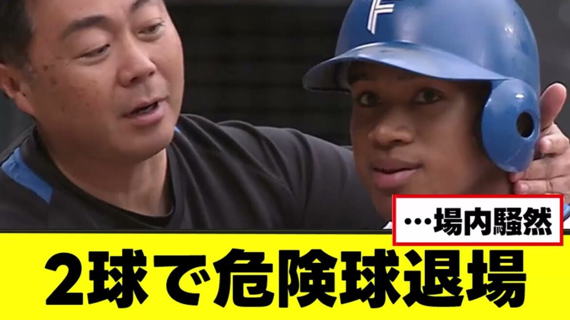 【場内騒然】2球で危険球退場#日ハム #西武ライオンズ #松本航 #万波中正