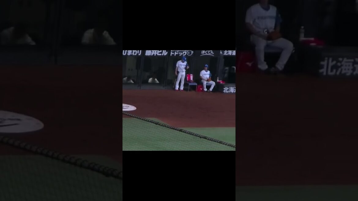 【岡田監督も丸ポーズ】丸佳浩のホームランでみんな楽しそうに丸ポーズ【オールスターゲーム2024  2024年7月23日】