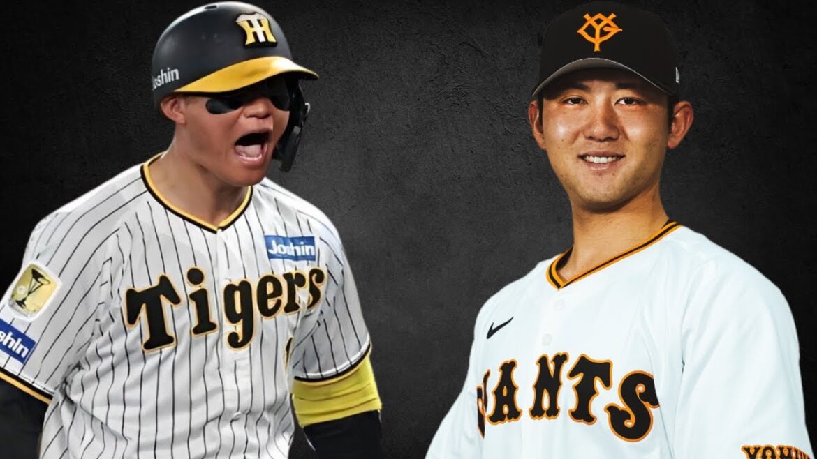 阪神森下と巨人平内の件について話します