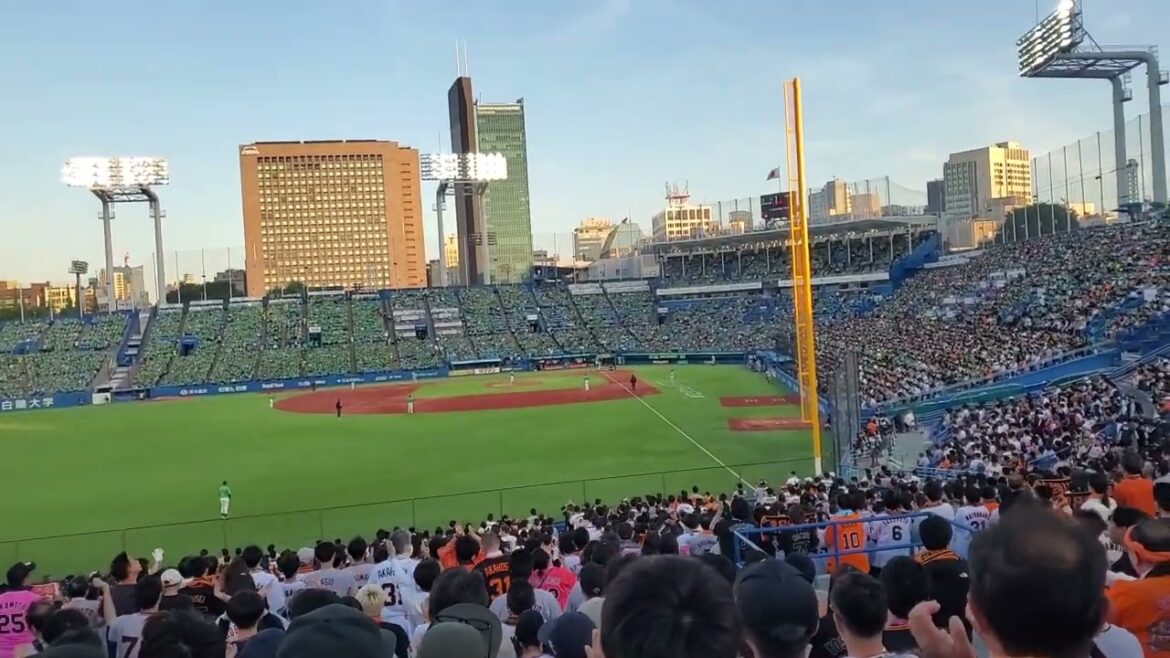 20240511　亀井善行コーチを継承！【吉川尚輝 専用コール】　1回表　読売ｼﾞｬｲｱﾝﾂ(巨人)@神宮球場･ﾚﾌﾄ外野 明治神宮野球場