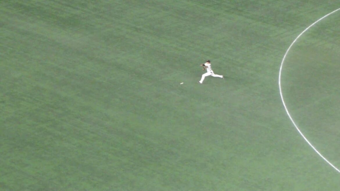 ヤクルト 宮本丈 タイムリーヒット　巨人 vs ヤクルト　2024年8月3日(土) 東京ドーム