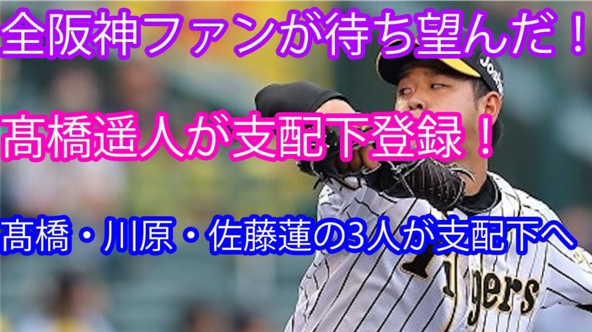 全阪神ファンが待ち望んだ!高橋遥人・川原・佐藤蓮が支配下登録された件【阪神タイガース】 全阪神ファンが待ち望んだ!高橋遥人・川原・佐藤蓮が支配下登録された件【阪神タイガース】