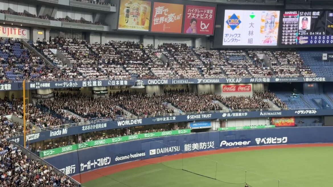 《京セラ》【千葉ロッテマリーンズ】チャンステーマ5　2024/8/4