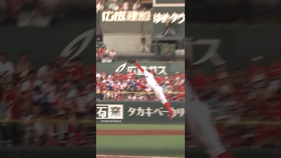 矢野雅哉のダイビングキャッチ!すごすぎ!#広島東洋カープ #矢野雅哉 矢野雅哉のダイビングキャッチ!すごすぎ!#広島東洋カープ #矢野雅哉