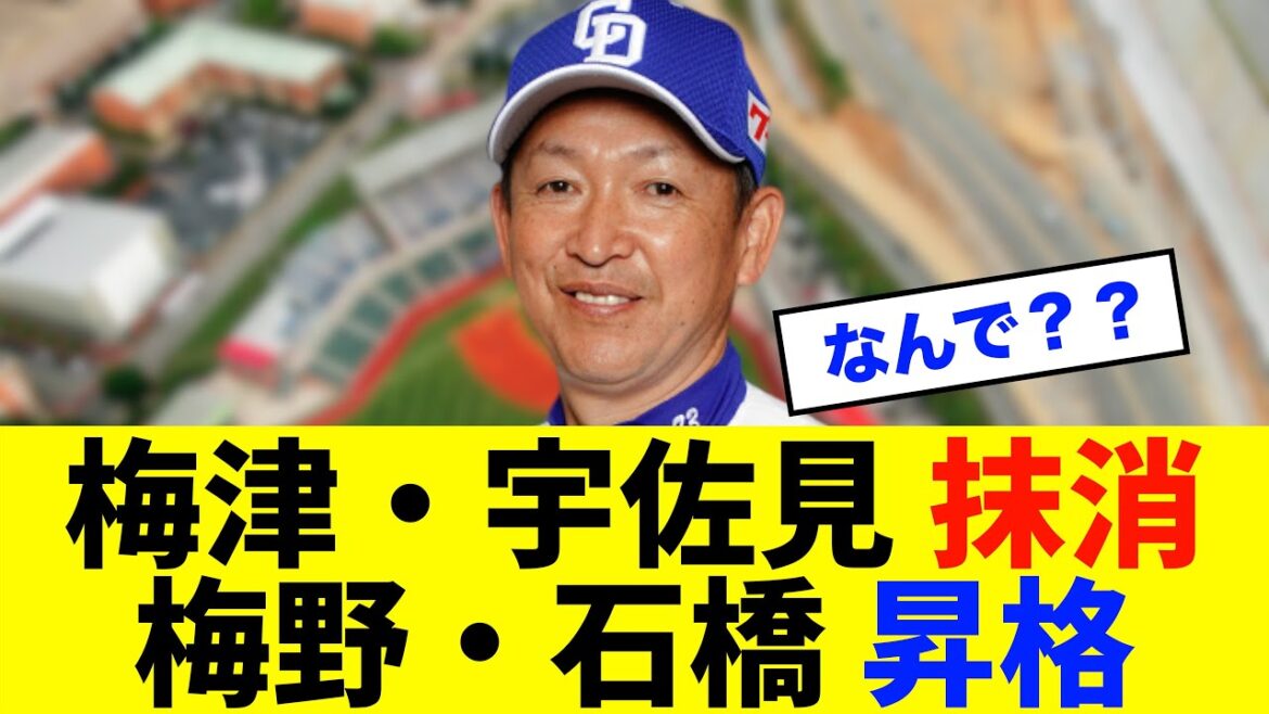 【急募】中日ドラゴンズ「梅津・宇佐見」抹消、「梅野・石橋」が昇格についてどう思う？※中日ドラゴンズ専門スレ反応集