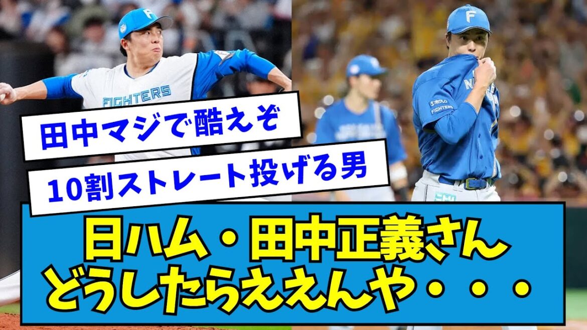 【悲報】日ハム・田中正義さんはどうしたらええんや・・・【なんJ反応】