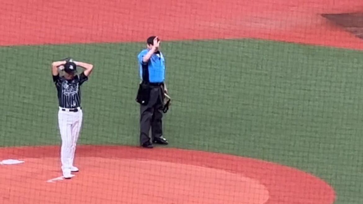 ライオンズスタメン選手登場➡︎武蔵野銀行頭取のノーバン始球式【西武vs楽天】2024/8/4 ライオンズフェスティバルズ ライオンズスタメン選手登場➡︎武蔵野銀行頭取のノーバン始球式【西武vs楽天】2024/8/4 ライオンズフェスティバルズ