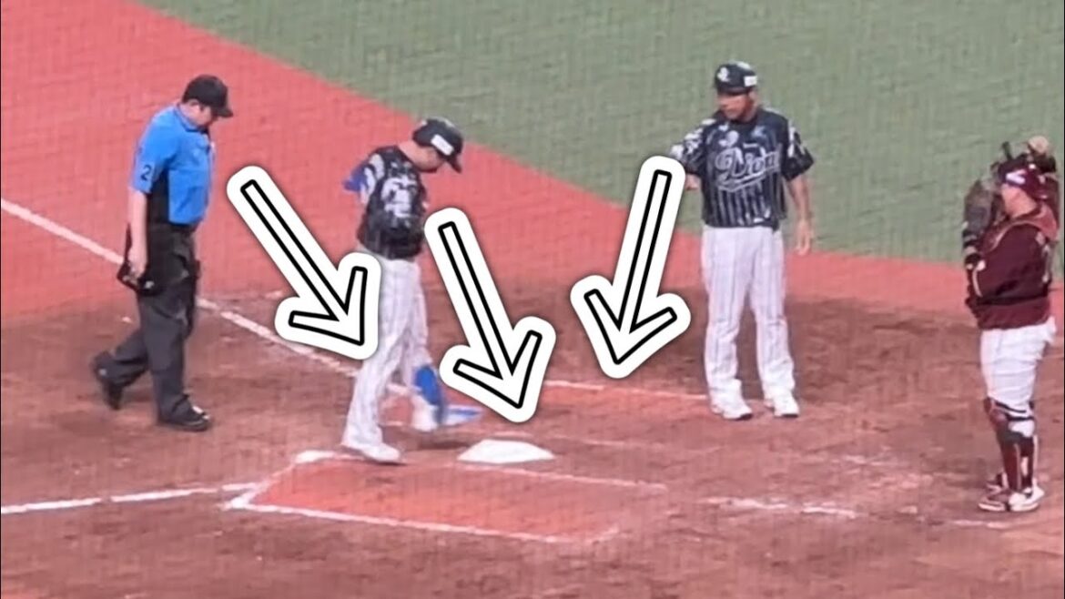 西スポ「西武・野村大樹、タイムリーエラー直後に1点差に迫る3号ソロ「ホームランになってよかった」の場面【西武vs楽天】2024/8/4 ライオンズフェスティバルズ