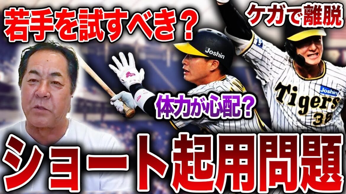 次世代ショートの育成チャンス？後半戦のショート起用はどうなる？木浪・小幡の離脱による遊撃手問題について元コーチが考察します【阪神タイガース】