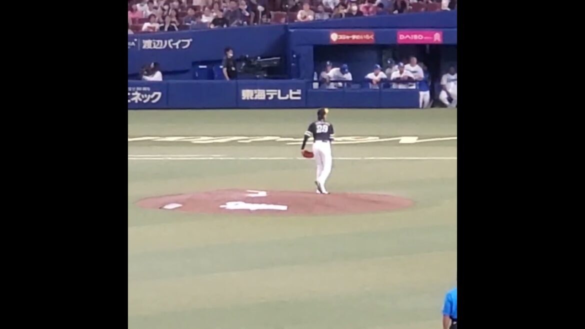 20240606　石川柊太の投球練習　#shorts　福岡ｿﾌﾄﾊﾞﾝｸﾎｰｸｽ　投球ﾌｫｰﾑ@ﾊﾞﾝﾃﾘﾝﾄﾞｰﾑ ﾅｺﾞﾔ･ﾚﾌﾄ外野 ﾅｺﾞﾔﾄﾞｰﾑ 日本生命ｾ･ﾊﾟ交流戦