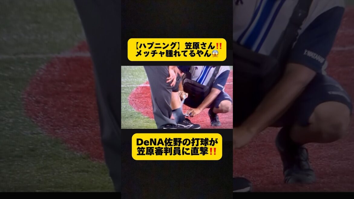 【横浜・佐野恵太】の打球が笠原審判員に直撃‼️左足がメッチャ腫れてる😱