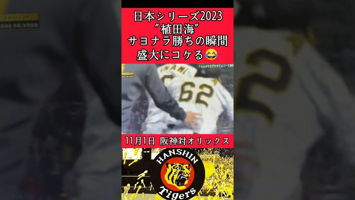 【阪神】"植田海"日本シリーズで盛大にコケる! #阪神 #阪神タイガース #植田海 #shorts