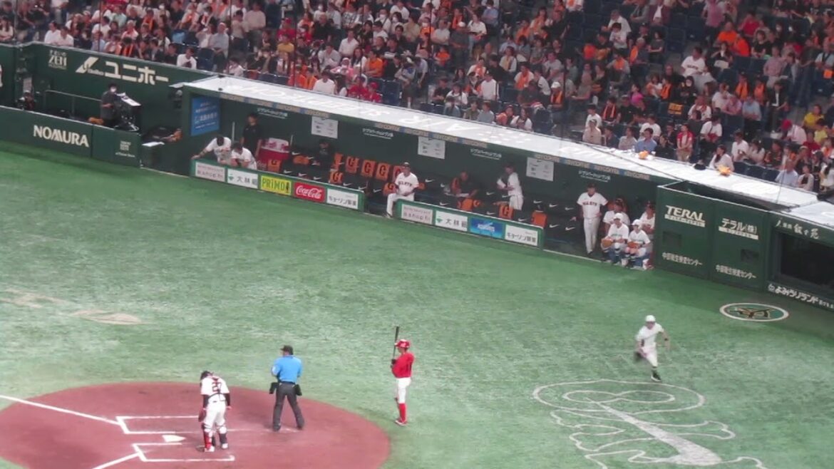 二俣翔一と矢野雅哉を抑えた時のジャイアンツベンチの様子（読売ジャイアンツ対 広島カープ 2024年6月29日）