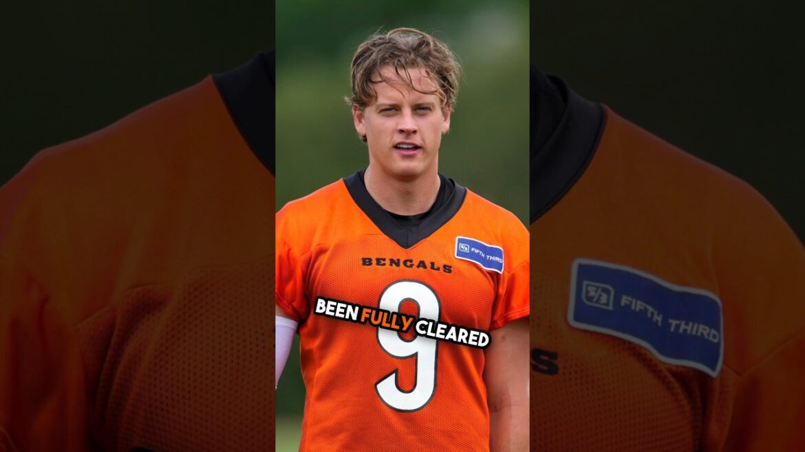 Cincinnati Bengals Reveal New Pre-Season Plans for Upcoming Season