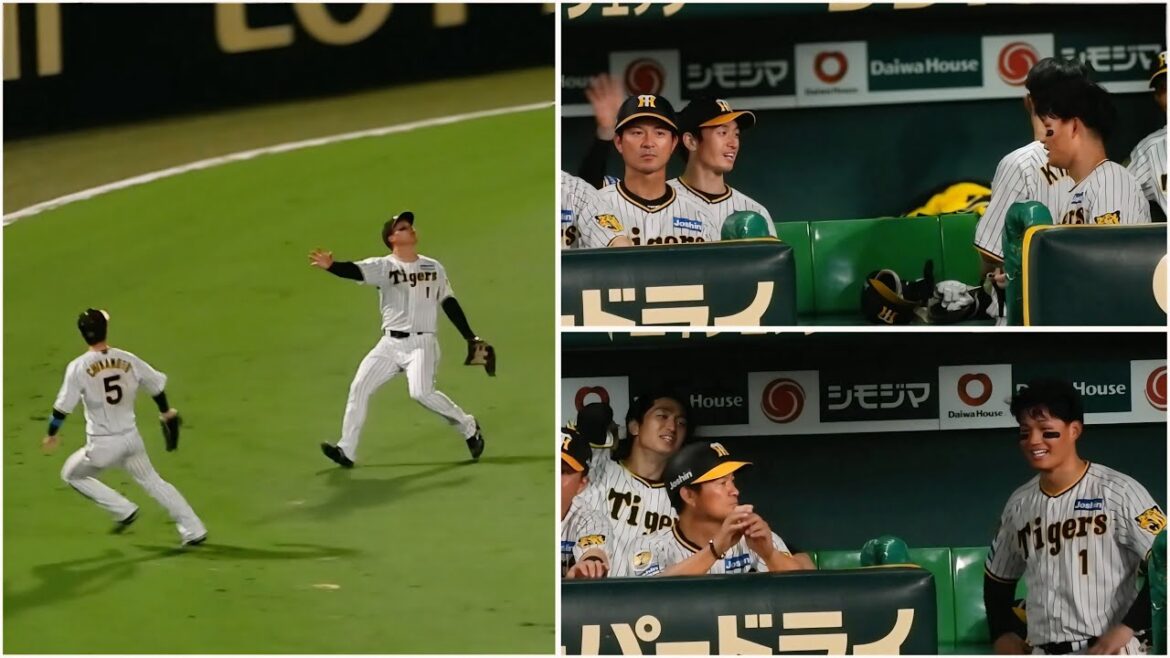 【近本先輩からアドバイス】ジェスチャーを察して森下に捕球を譲った近本光司。ベンチで森下と捕球時の対応についてすぐさま話し合う 2024.7.31