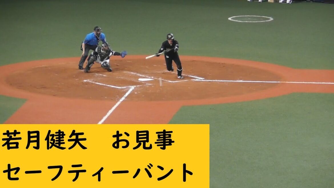 若月健矢セーフティーバント　#Bs2024 #若月健矢　#ORIX #オリックスバファローズ #オリックス#プロ野球 #NPB #オリ姫 #京セラドーム大阪