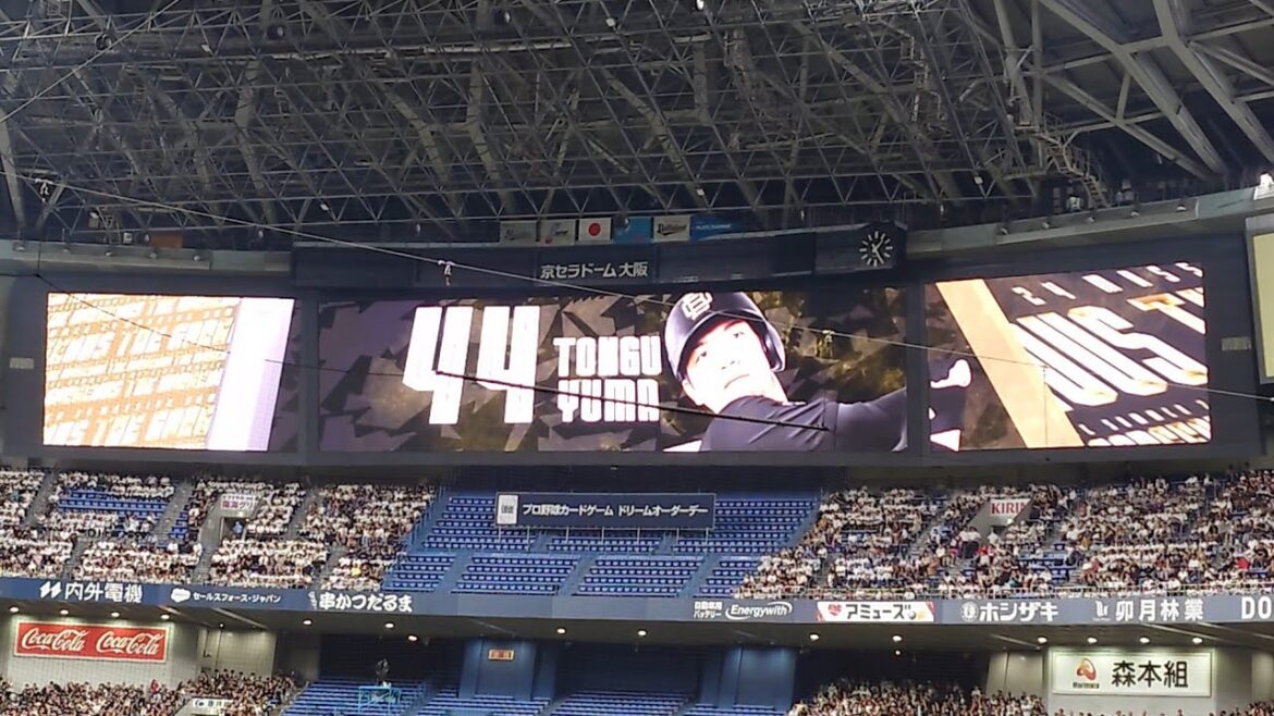 頓宮裕真 選手 ｢Tyga  Ayy Macarena｣ 登場曲 オリックス･バファローズ 選手 ビジョン映像 PV 演出 @京セラドーム 2024 Bs夏の陣