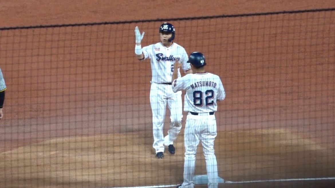 中村悠平の同点タイムリーヒット！東京ヤクルトスワローズ 2024/08/06