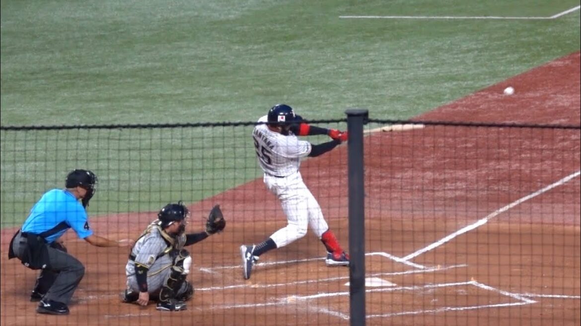おかえりなさい！フェンス直撃！サンタナの2ベースヒット！東京ヤクルトスワローズ 2024/08/06