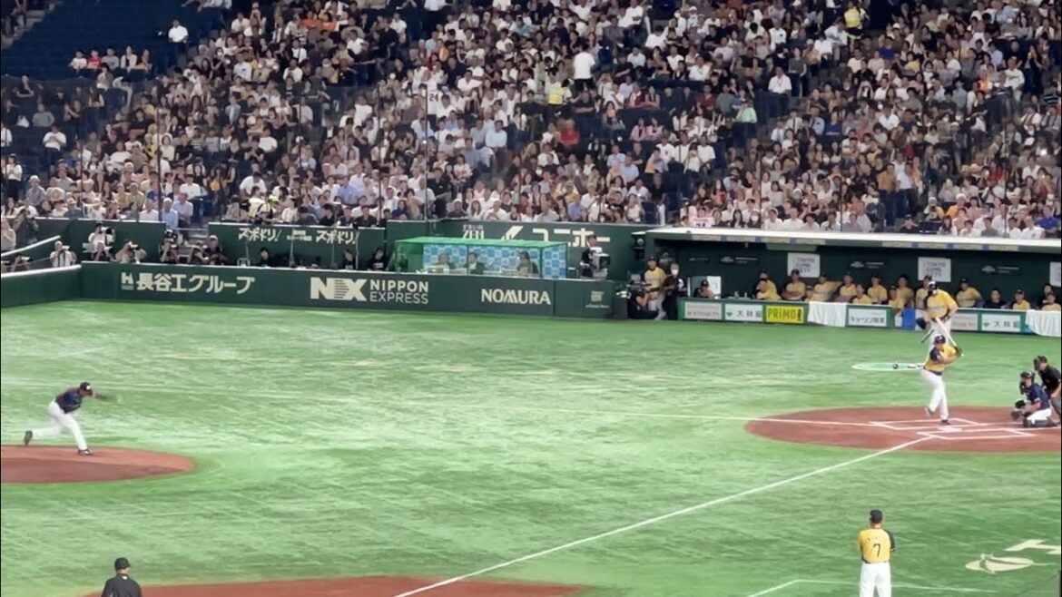 高橋由伸vs 能見篤史2024/8/5 サントリードリームマッチ