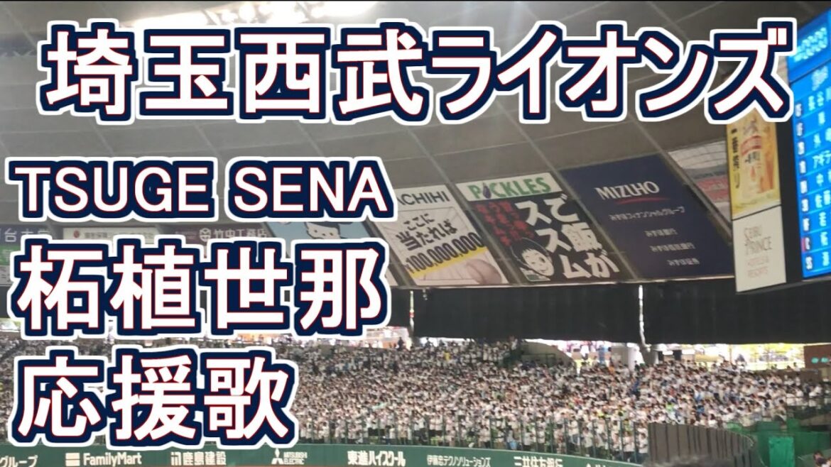 Tsuge Sena 【Saitama Seibu Lions】#baseball #chant #japan Tsuge Sena 【Saitama Seibu Lions】#baseball #chant #japan