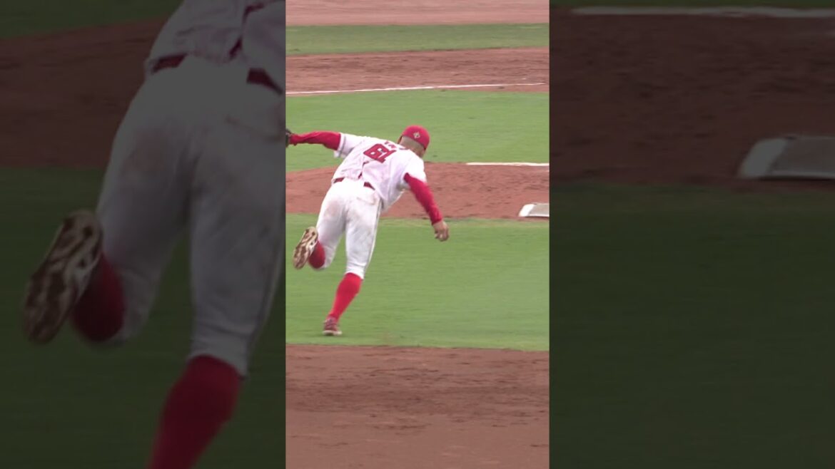 【今宵も魅せました】矢野雅哉の超人的守備能力 #広島東洋カープ #広島 #矢野雅哉