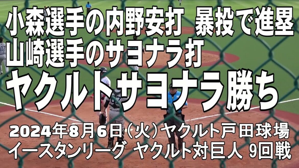 【山崎晃大朗選手サヨナラ打】イースタンリーグ ヤクルト対巨人