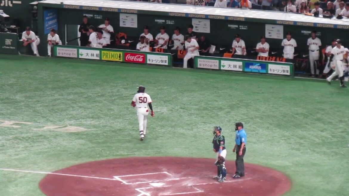 【巨人ベンチ】二回 オコエ瑠偉と岸田行倫の打席の時（ 読売ジャイアンツ対 ヤクルトスワローズ 2024年8月2日）