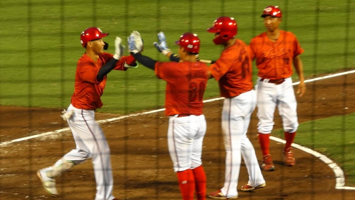 中村奨成２打席連続弾！磯村勝ち越し２ラン！他若鯉本日の９安打 20240806@ほっともっとフィールド神戸