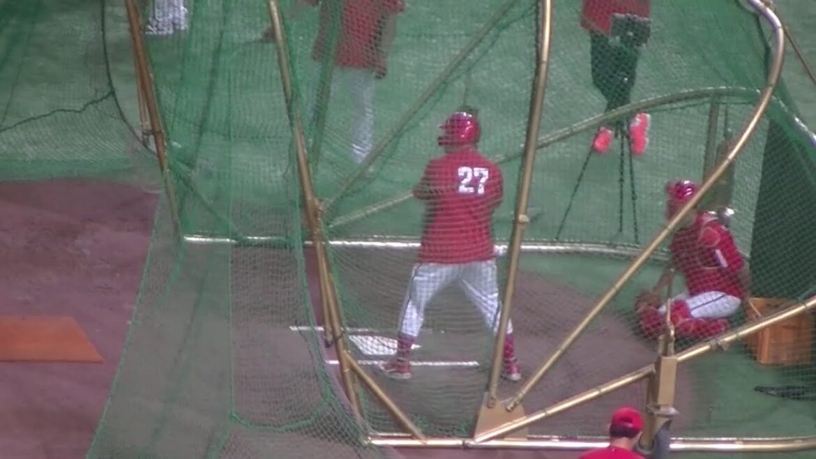 カープ會澤翼フリーバッティング【読売ジャイアンツ対 広島東洋カープ  2024年8月6日】