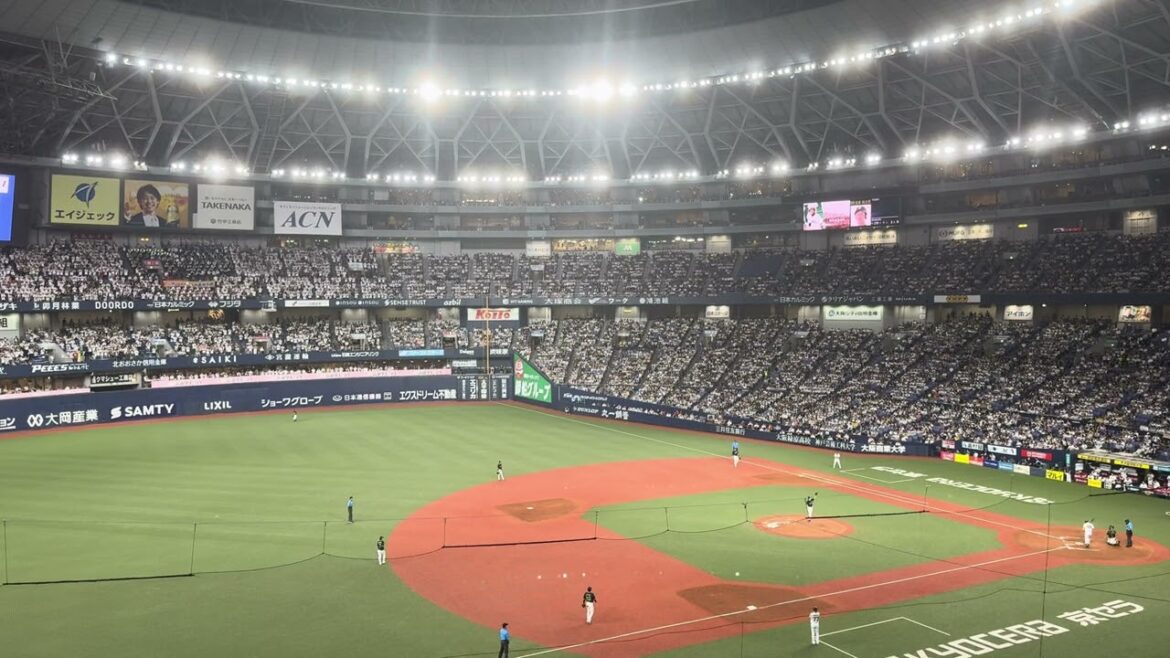 バファローズ高校 杉本裕太郎 応援歌 with 大阪桐蔭