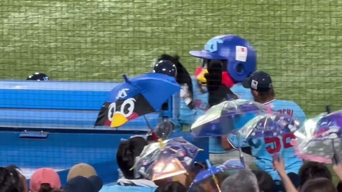 赤羽由紘の第2号2ランホームラン！