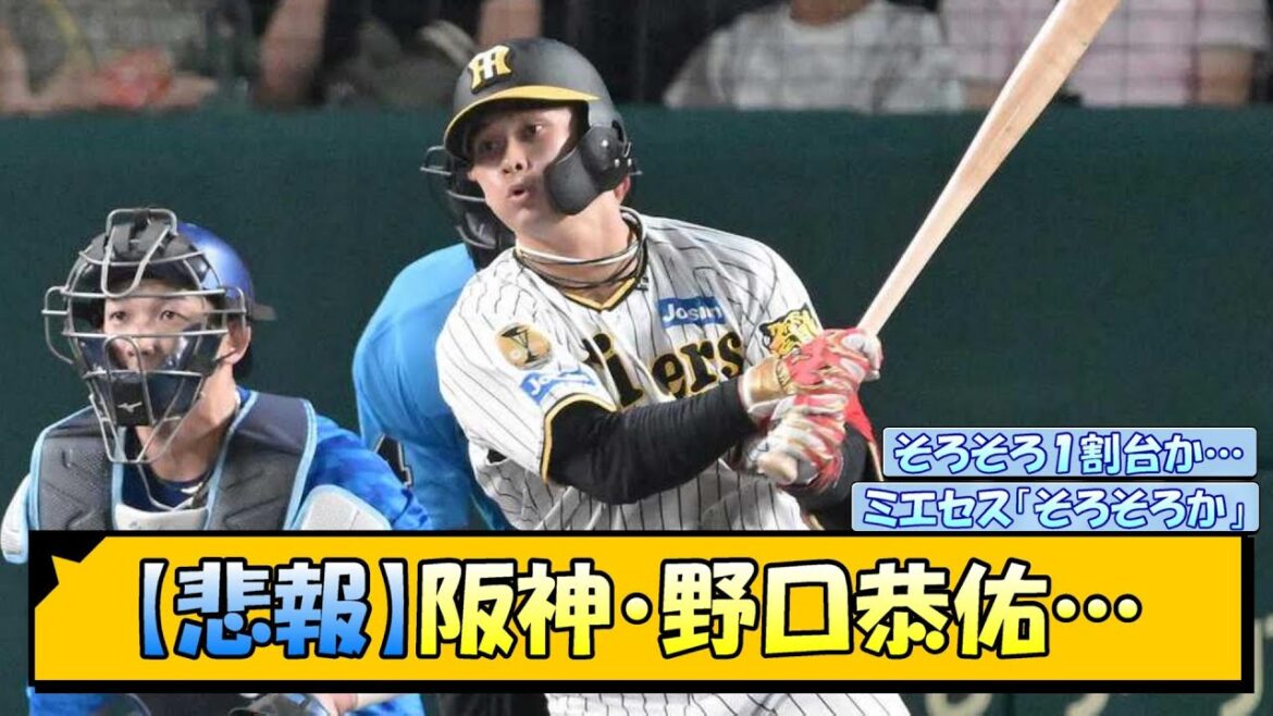 【悲報】阪神・野口恭佑…【なんJ/2ch/5ch/ネット 反応 まとめ/阪神タイガース/岡田監督】