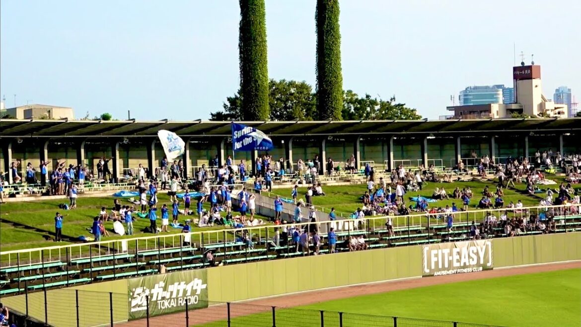 岐阜に集まったDeファンのスタメン応援歌！ 横浜DeNAベイスターズ 2024/8/6
