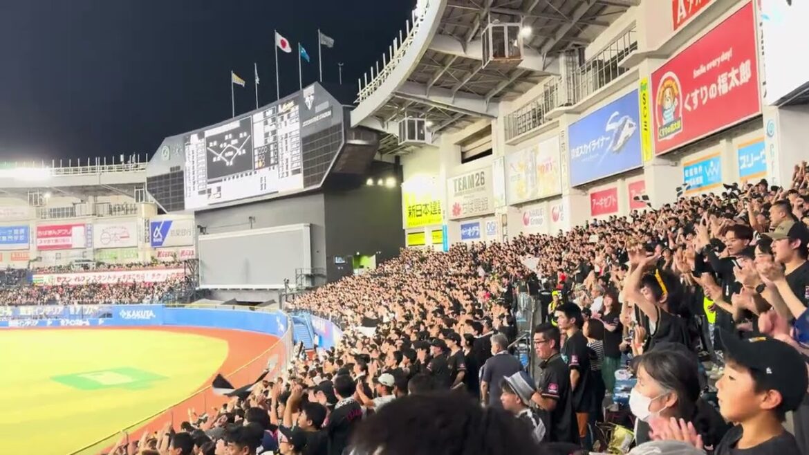 石川慎吾応援歌 BLACK SUMMER WEEK 2024/8/6 ロッテ vs ソフトバンク #chibalotte 石川慎吾応援歌 BLACK SUMMER WEEK 2024/8/6 ロッテ vs ソフトバンク #chibalotte